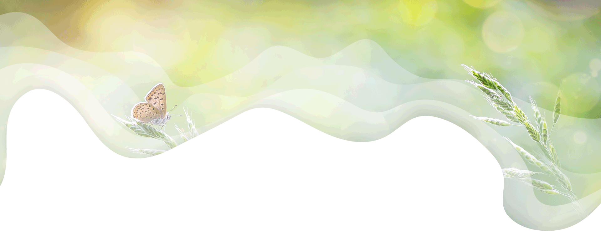 main-img-20251101-luonto.png